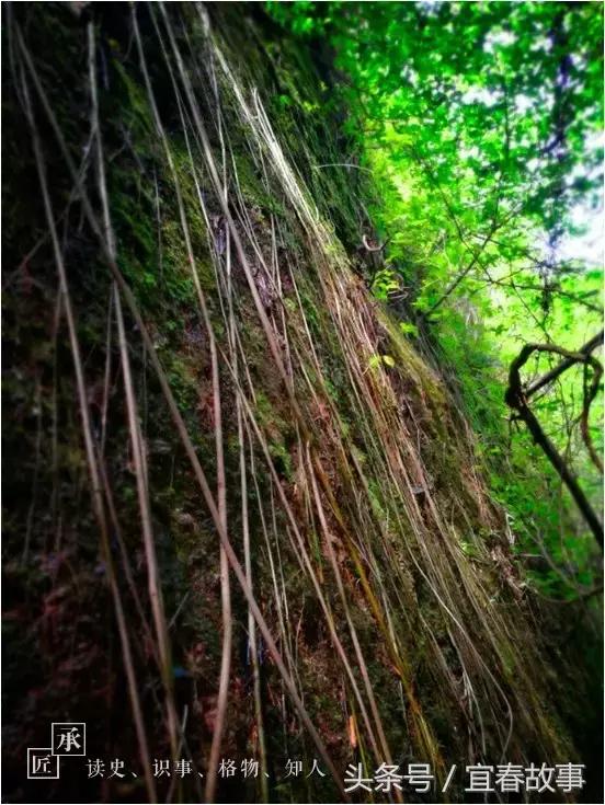户外徒步赤山,万载赤兴一线天风景介绍