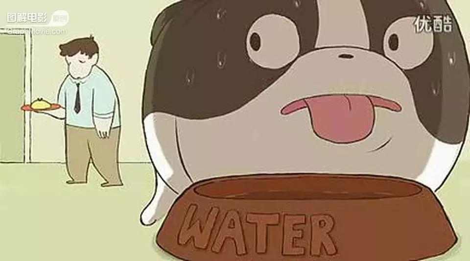 1分钟看完煎蛋饼养只狗狗来做饭狗版の田螺姑娘