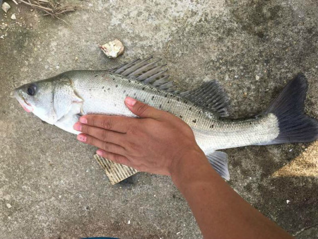 周末约朋友钓鱼,湖中最好钓鱼的地方