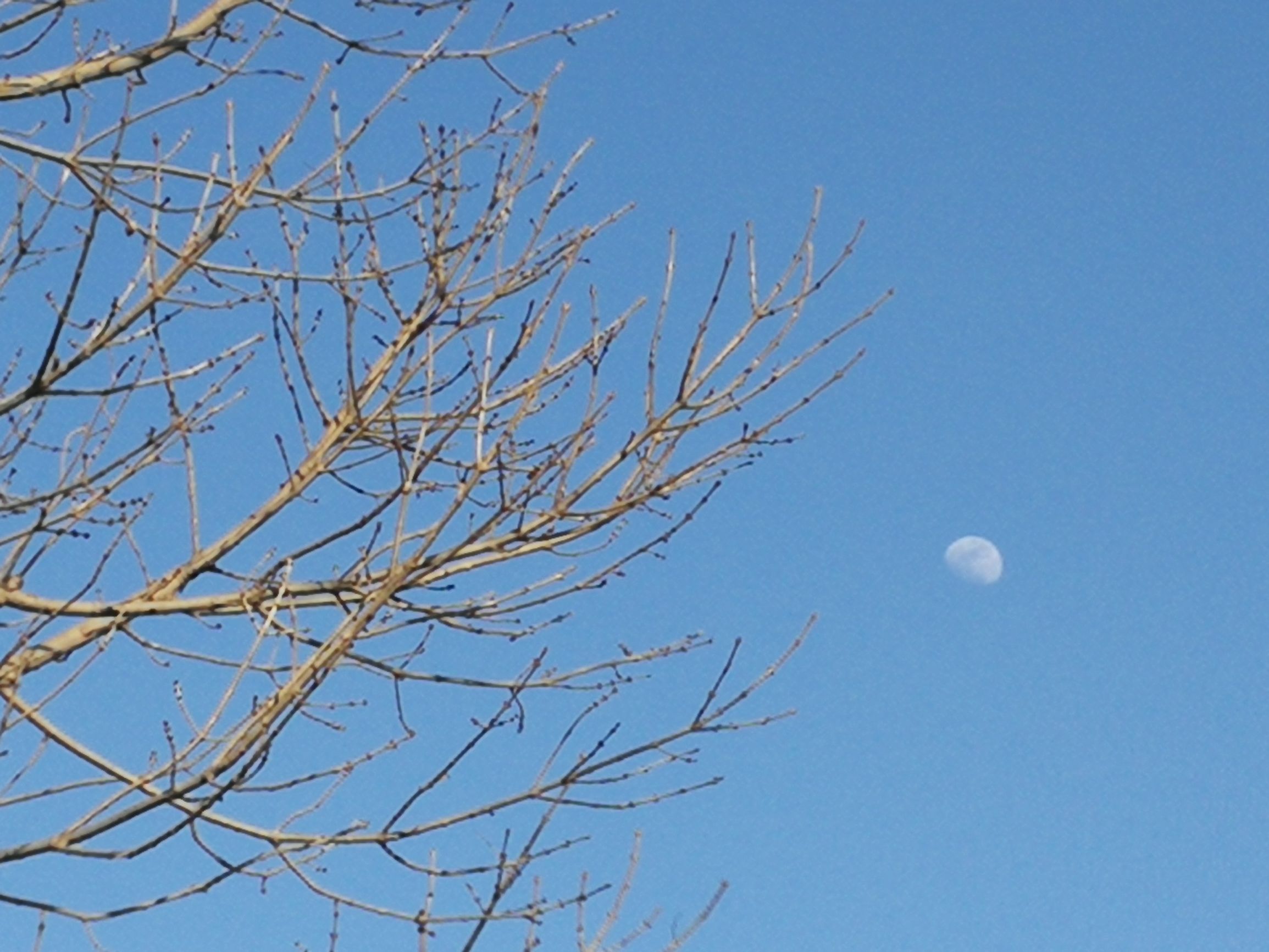 银行校园贷怎么开通,校园银行贷款