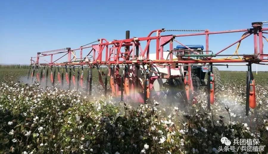 误食乙烯利催熟剂,乙烯利芒果催熟剂