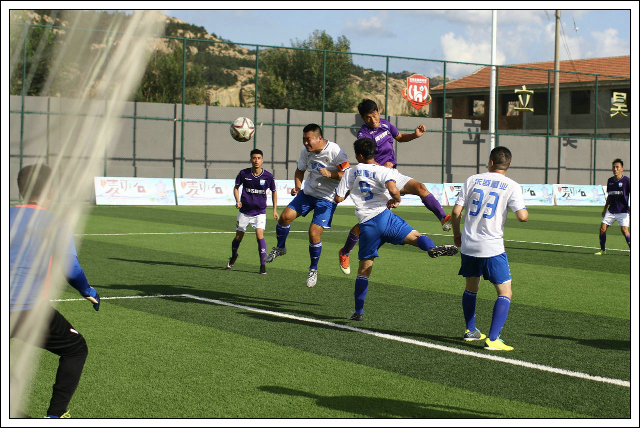 绿茵上追梦,绿茵场上的追梦人