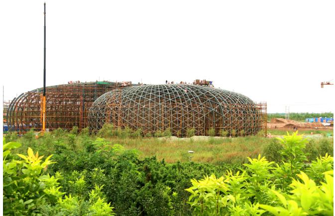 滨州鸟类湿地公园,滨州北海凤鸣鸟类公园