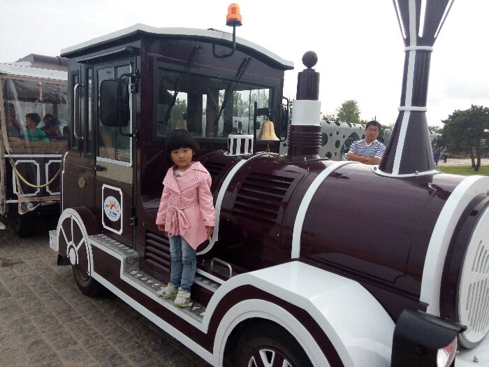 日照海捕海鲜有哪些,日照赶海后抓到的海鲜去哪儿吃