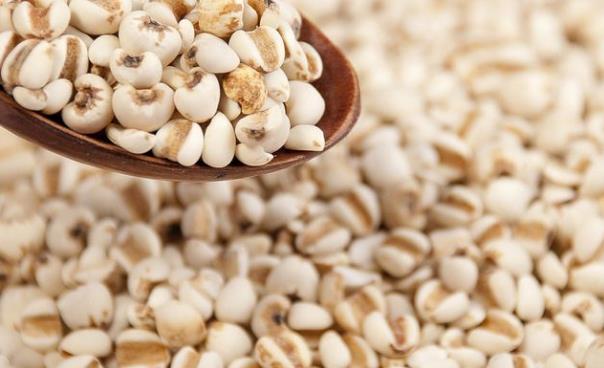 十大养肾粥,冬季10款滋补养生粥补肾益肝