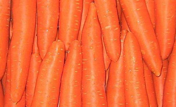 十大养肾粥,冬季10款滋补养生粥补肾益肝