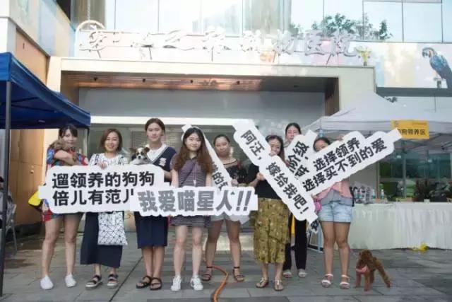 9月9日领养日，免费领养流浪动物，用爱代替伤害！