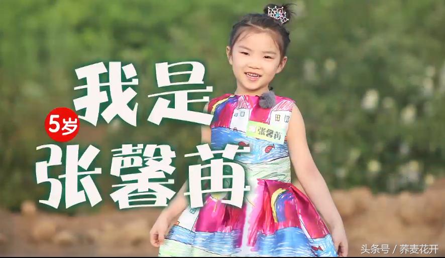 红豆的毒性有多大,红豆毒性是什么