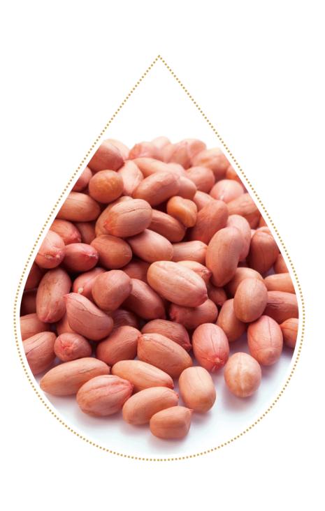 花生油是怎样榨出来的,花生油是怎么榨的