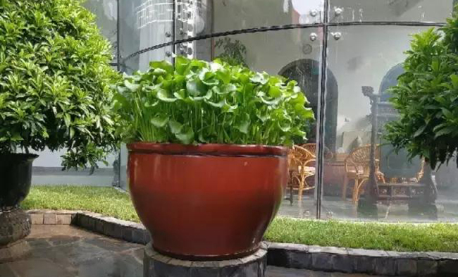 马未都八棱葫芦,水葫芦马未都视频