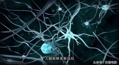 最震撼的纪录片bbc人体的奥秘,人体科普纪录片top10