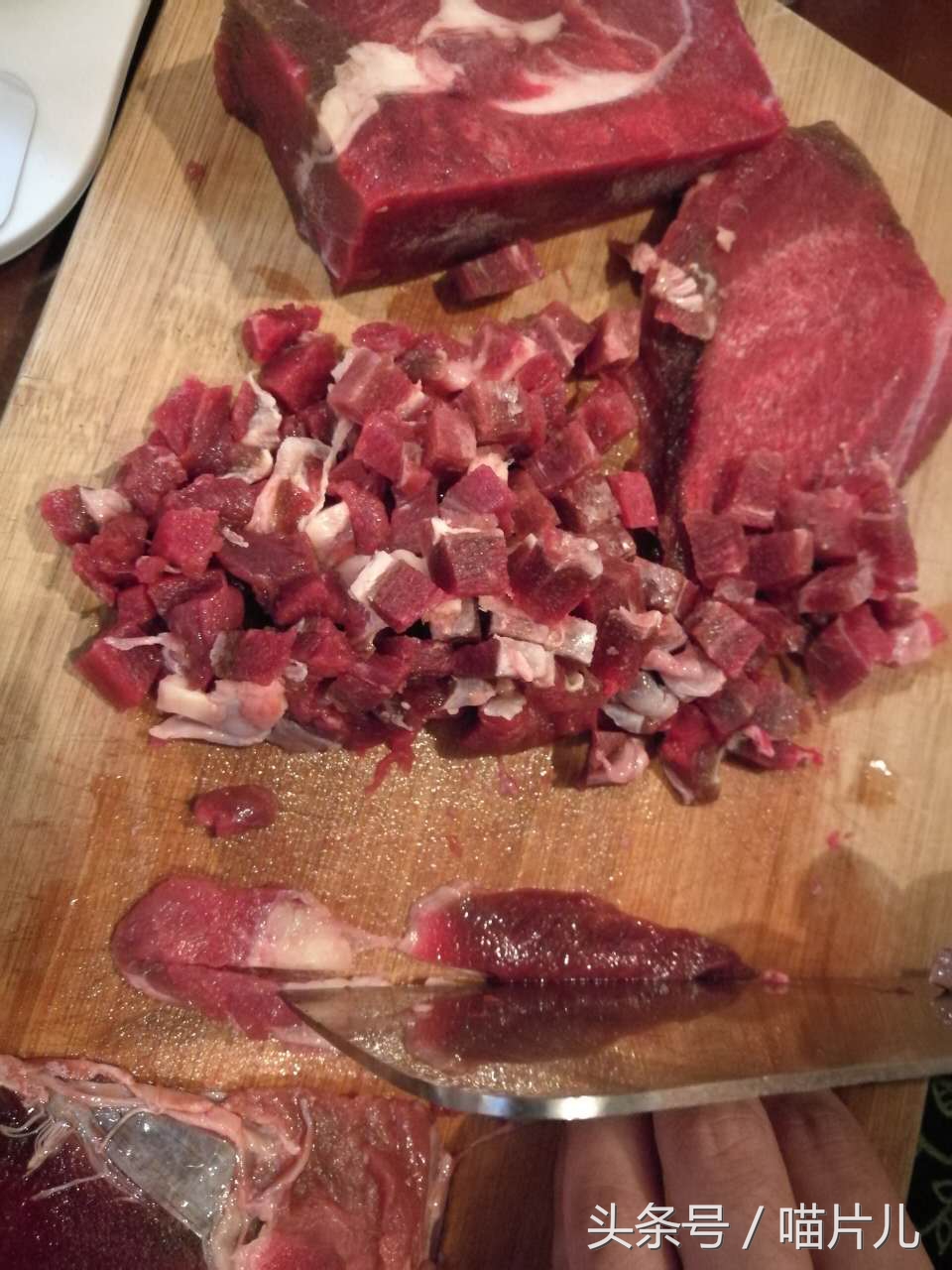 猫咪坐月子,猫咪坐月子要多长时间