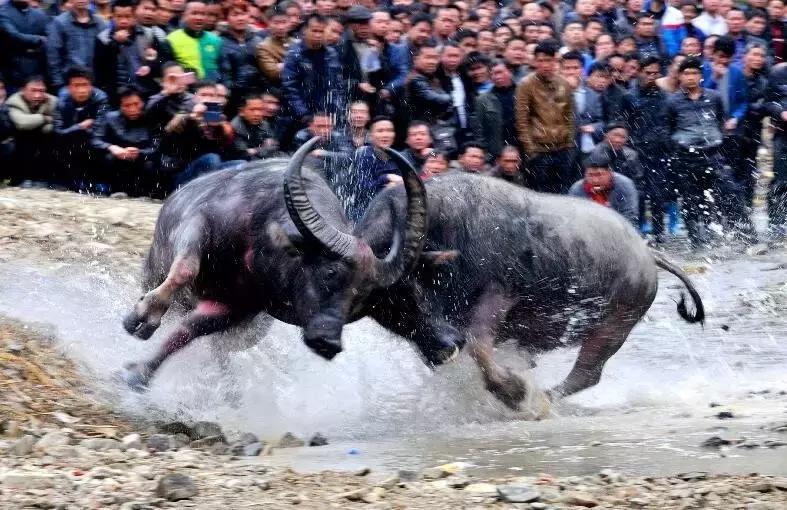 贵州方言笑死人的句子,贵州方言笑死人了