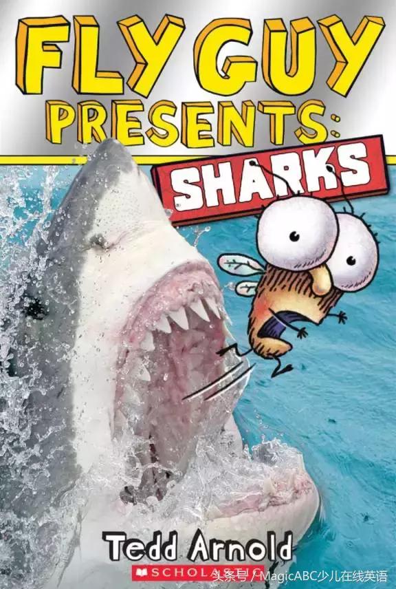 英文绘本6岁经典绘本小故事,极简英文绘本故事