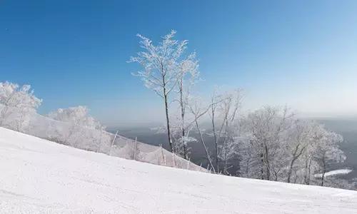 懒人福利丨衣食住行玩一次搞定！只有这里！