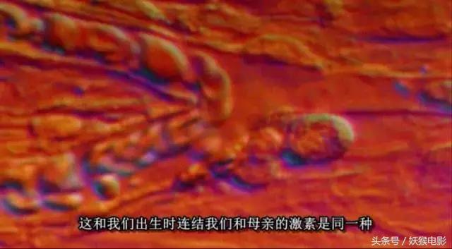 最震撼的纪录片bbc人体的奥秘,人体科普纪录片top10