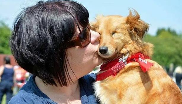 易经关于狗的描述,国学说狗