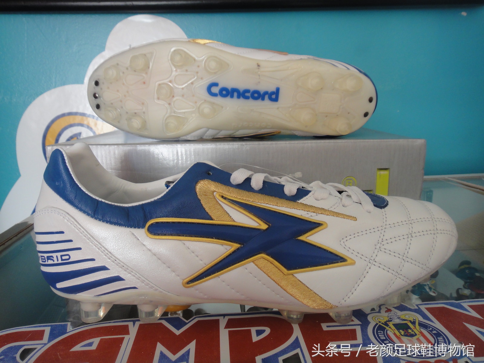 专业的足球鞋有哪几个品牌,曾经的足球鞋知名品牌有哪些