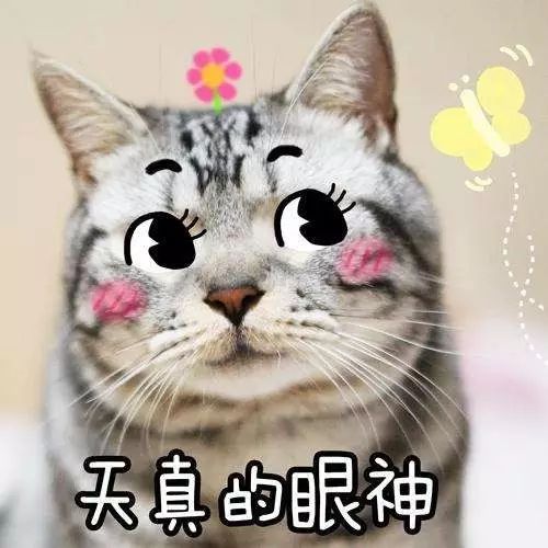 到底是谁在背后搞小动作？这字里行间的信息量也太大了