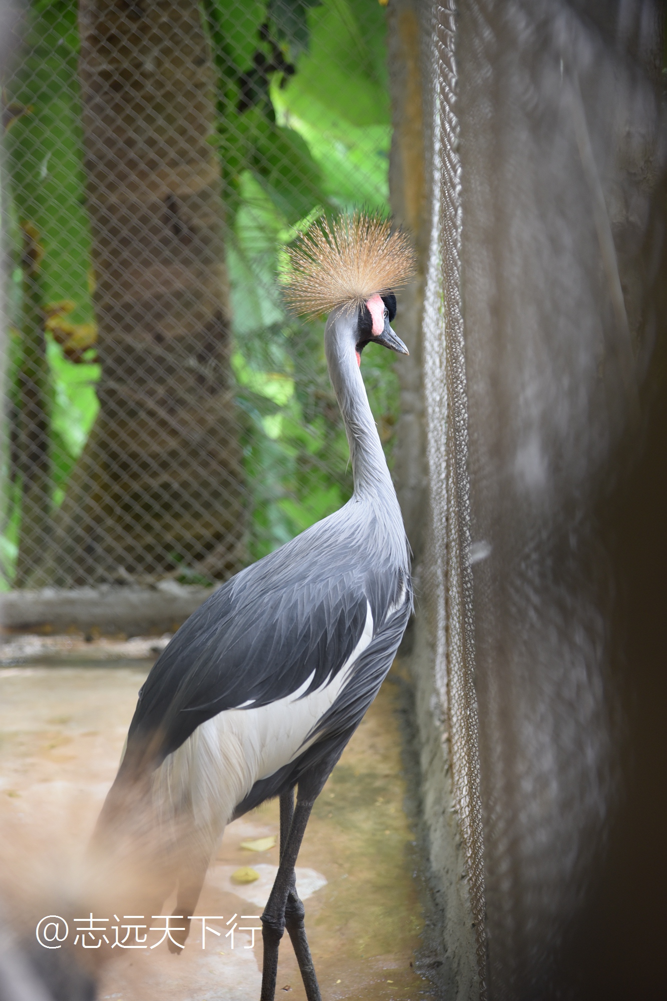 最美的女童海南,最美的小女生去游乐场玩