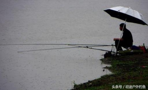 秋季钓鱼技巧选钓位和时间,钓鱼找鱼窝技巧秋季教学