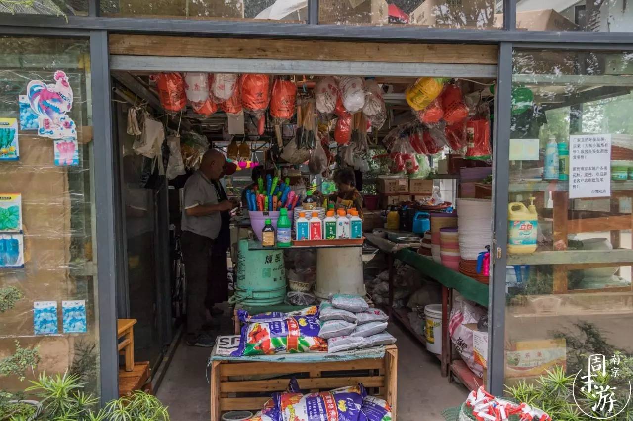 逛花鸟鱼虫市场的视频,南京花鸟鱼虫市场