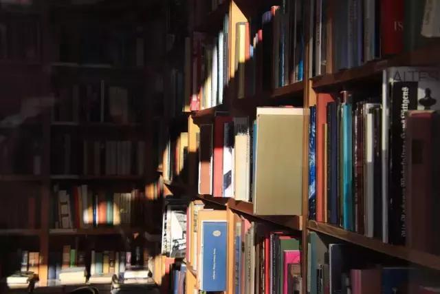 腾龙18-400mm大变焦镜头旅游拍鸟,腾龙17-70旅行摄影