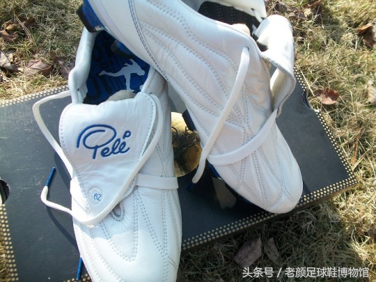 专业的足球鞋有哪几个品牌,曾经的足球鞋知名品牌有哪些