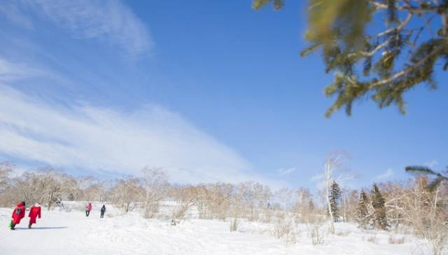 初冬掠影,哈尔滨的冬日魅力