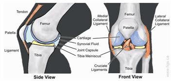 膝关节的急性损伤有哪些,膝关节侧韧带损伤症状