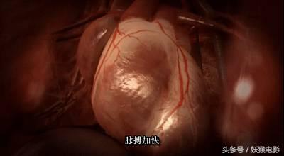 最震撼的纪录片bbc人体的奥秘,人体科普纪录片top10