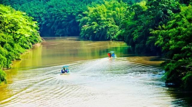 澶╀笅璞℃妫嬪瓙,澶╀笅璞℃妫嬭氨澶у叏