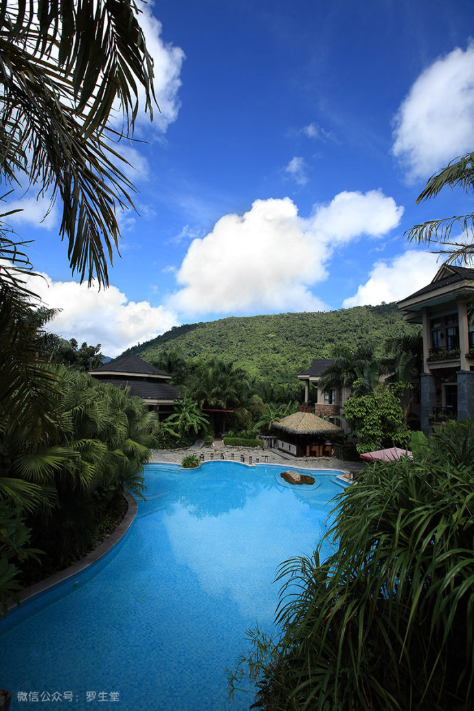 热带雨林里的美食,来这里吃的全是特色!