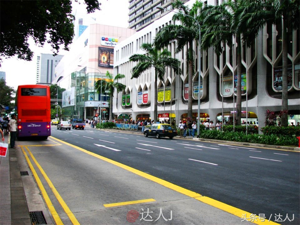 达人J：新马声色任逍遥