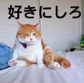 日本必买的美妆小物,东京妹子夏日必备好物