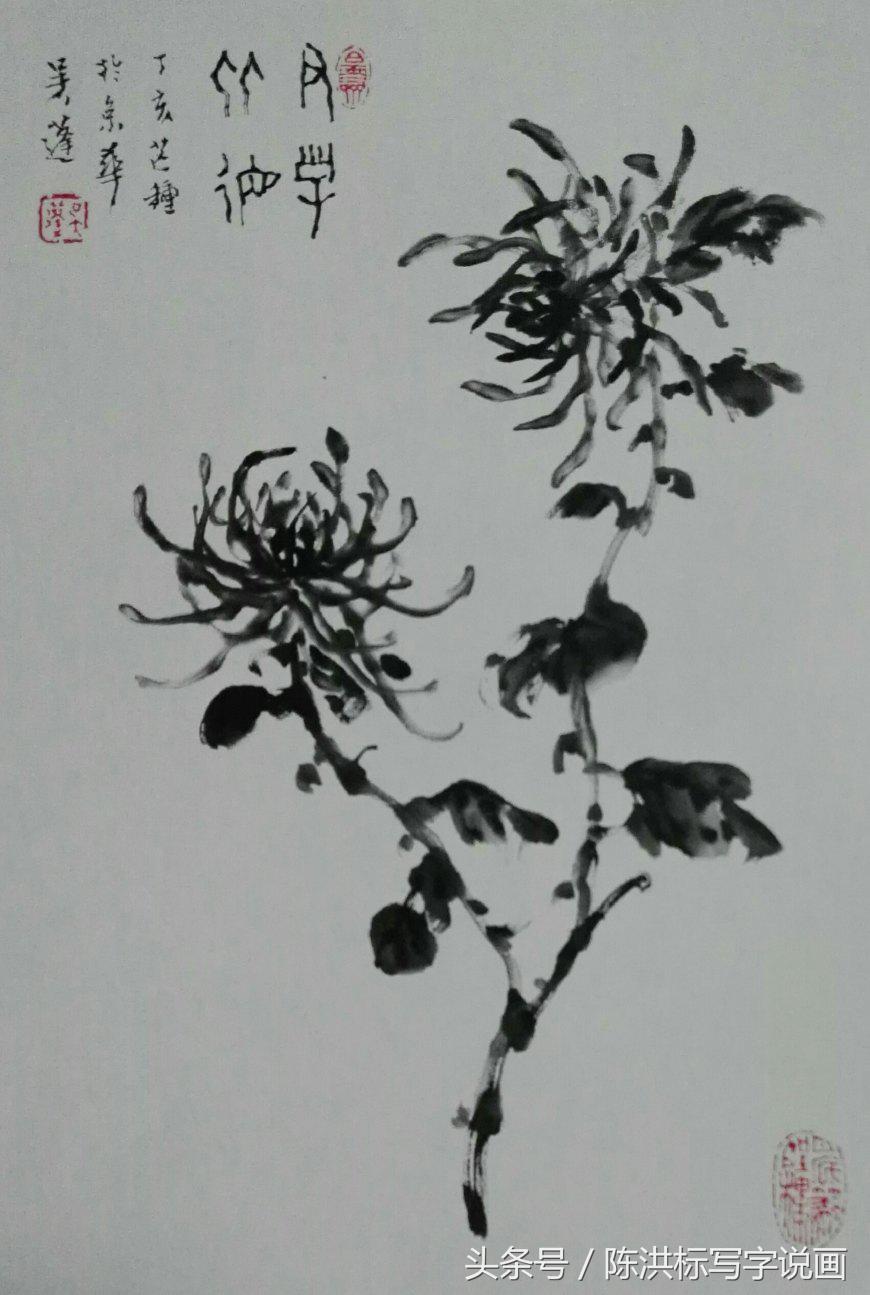 国画水墨菊花的画法和步骤,名家画菊花的技法