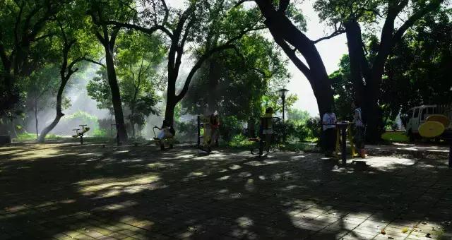 不愧为中山的生态保护区,镜头下的五桂山竟然这么美