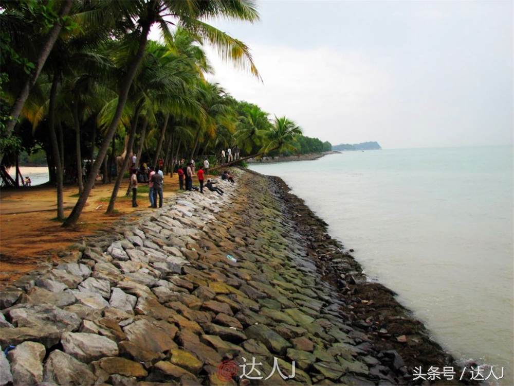 达人J:新马声色任逍遥