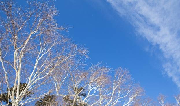 初冬掠影,哈尔滨的冬日魅力