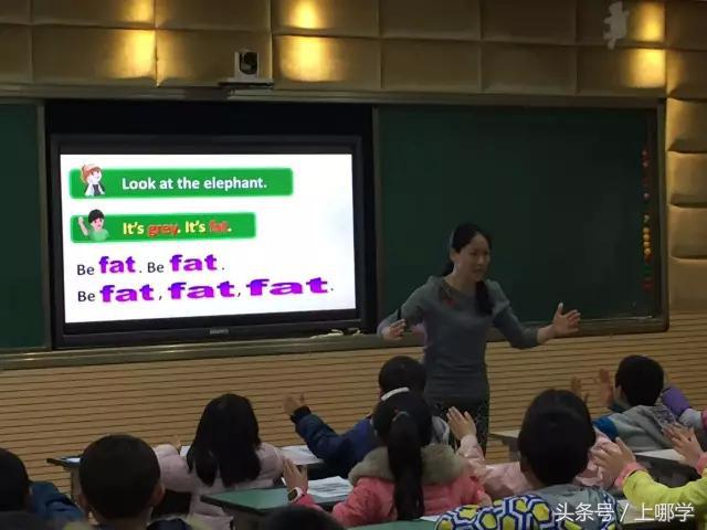 上海杨浦区小学统筹一般分到哪里,杨浦区打一小学简介