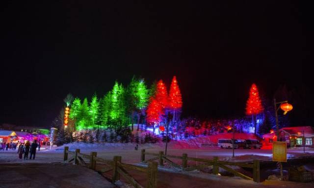 初冬掠影,哈尔滨的冬日魅力