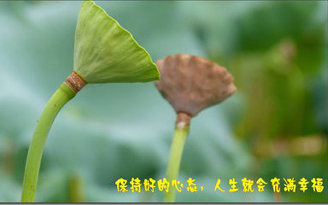 致煤矿工人人生感悟,煤矿工人感言真累