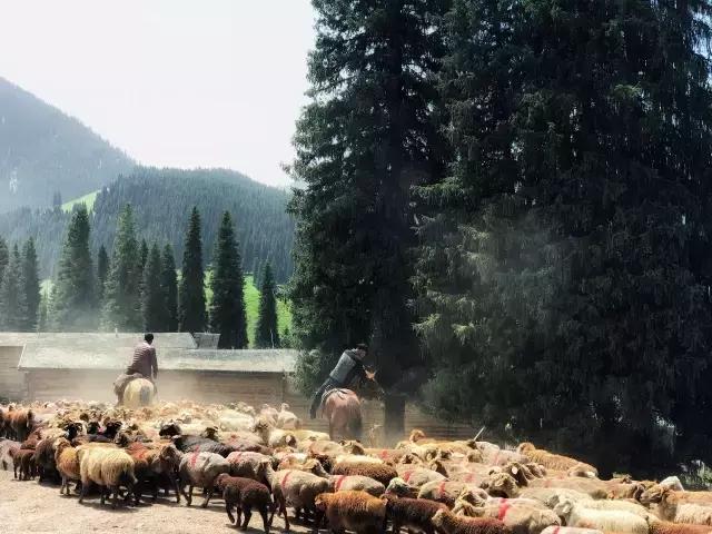 手机零基础入门学摄影,手机从零开始学摄影教程