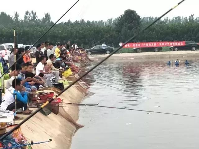 行营钓鱼比赛现场直播,行营钓鱼节