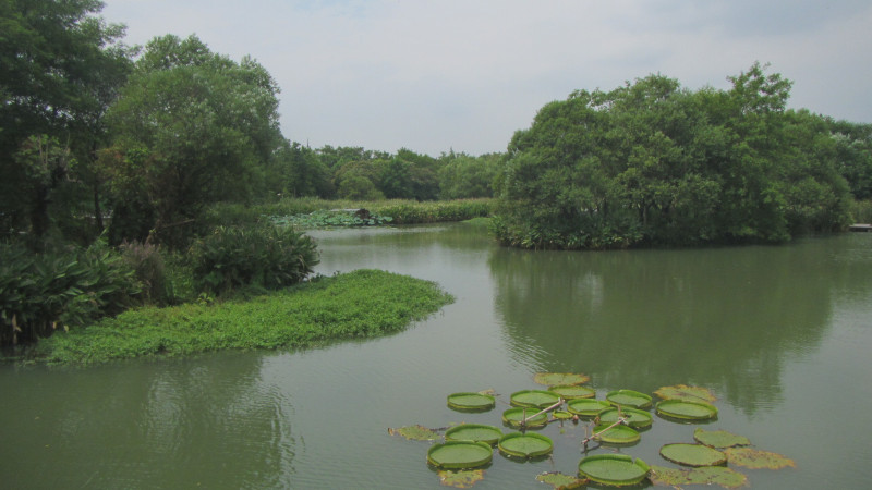 苏州西塘乌镇二日游团从杭州出发,苏州西塘乌镇二日一夜