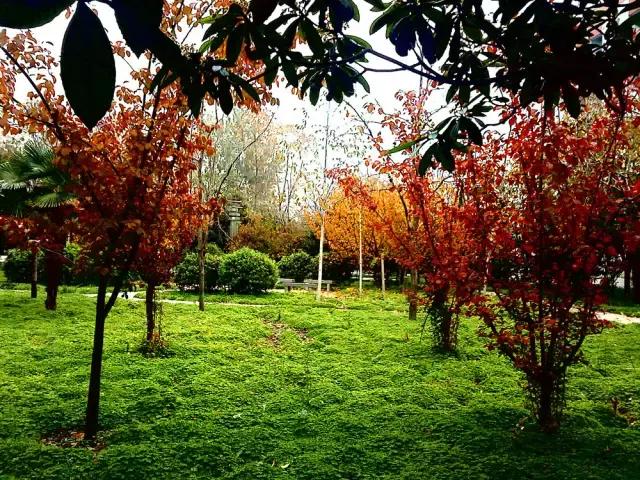 河南省首批办好的24所重点中学,河南百强中学