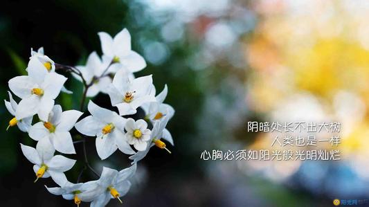 南开大学国际贸易研究生就业前景,国际贸易投资管理专业就业前景