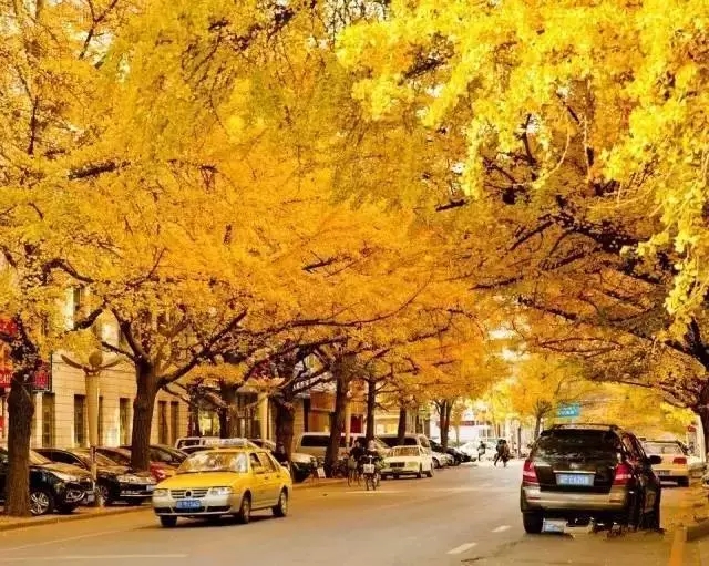 夏季沈阳周边自驾游路线推荐,沈阳周边30个最佳自驾好去处