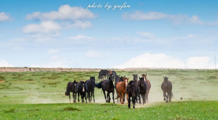 五一锡林郭勒游玩,几月份游锡林郭勒适合