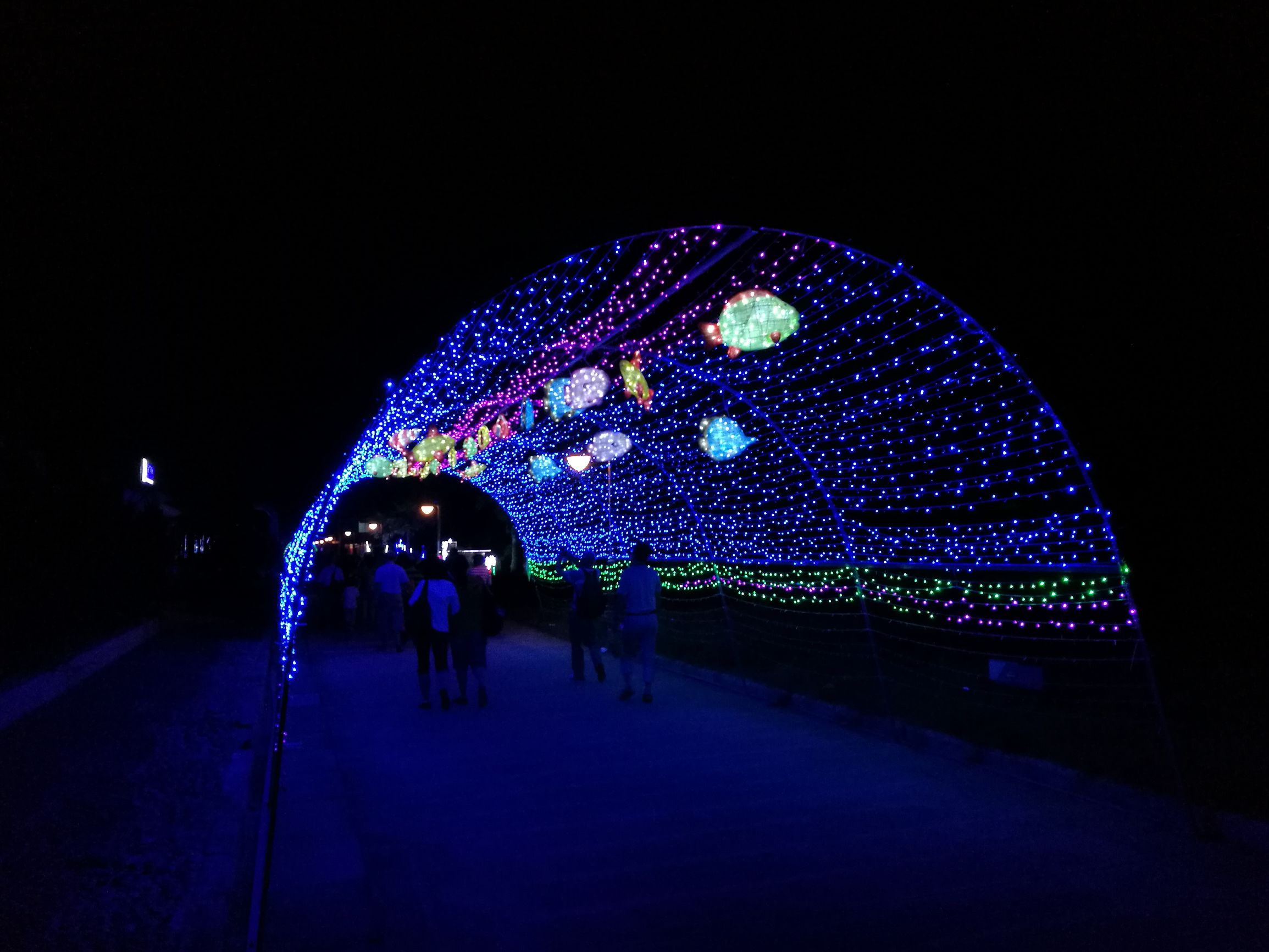 基湖海滩风景区,基湖沙滩值得去吗